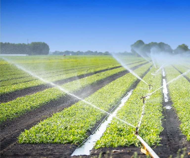 Phòng cháy chữa cháy nông nghiệp