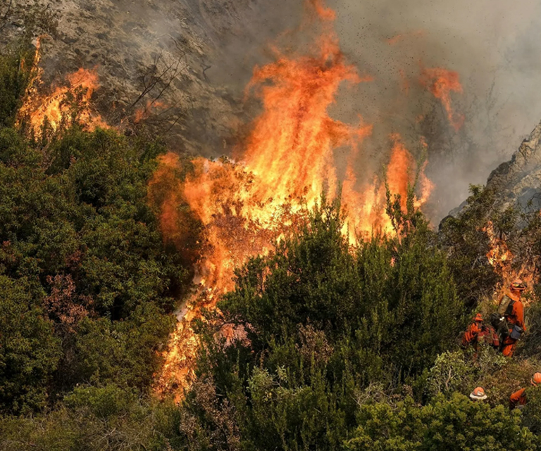 Phòng cháy chữa cháy lâm nghiệp